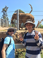 Zoo